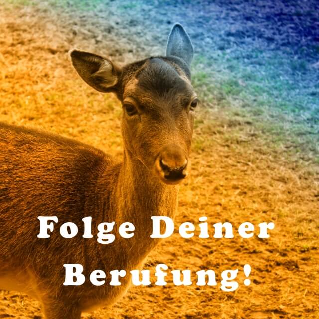 Auf dem Weg in Deine wahre Berufung!